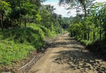 Rehabilitan camino entre el barrio Denis Mendieta y Miguel Alvarado en Siuna Rehabilitan carretera entre el barrio Denis Mendieta y Miguel Alvarado en Siuna