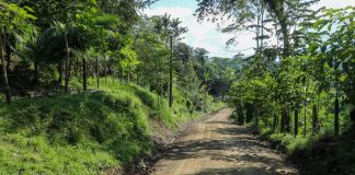 Rehabilitan carretera entre el barrio Denis Mendieta y Miguel Alvarado en Siuna