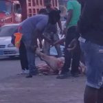 Video: Como caníbales personas se reparten la carne de un animal Video: Como caníbales personas se reparten las parte de un animal