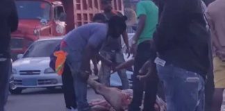 Video: Como caníbales personas se reparten las parte de un animal