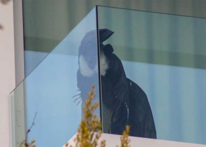 2 Shakira 'vigila' a la mamá de Piqué con una bruja desde su balcón ¿Porqué será?