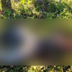 Foto: Encuentran cuerpo con múltiples heridas de armas blanca en Kasquitas, Río Blanco / TN8