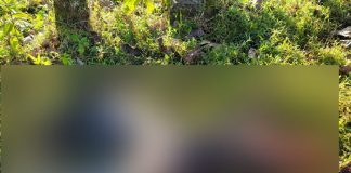 Foto: Encuentran cuerpo con múltiples heridas de armas blanca en Kasquitas, Río Blanco / TN8