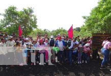Volcán Masaya cuenta con nuevos senderos Foto: Volcán Masaya cuenta con nuevos senderos / TN8