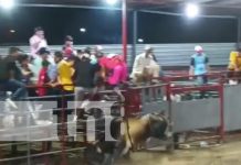 Foto: Tipitapeño perece tras ser corneado por un toro en la barrera "El patrón" / TN8