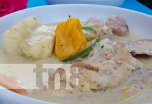“Rundown de Pescado» un platillo típico en el Caribe Nicaragüense Foto: “Rundown” de Pescado un platillo típico en el Caribe Nicaragüense / TN8