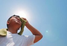 Según científicos el 2022 fue el año más caluroso