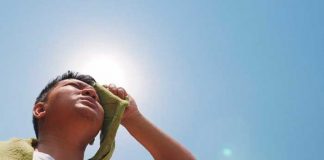 Según científicos el 2022 fue el año más caluroso