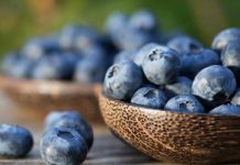 Arándanos: pieza clave para prevenir infecciones urinarias Arándanos: pieza clave para prevenir infecciones urinarias
