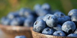Arándanos: pieza clave para prevenir infecciones urinarias