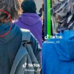 Chavalo se monta a un bus con una rata en el hombro (Video) Chavalo se monta a un bus con una rata en el hombro (Video)