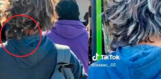 Chavalo se monta a un bus con una rata en el hombro (Video)