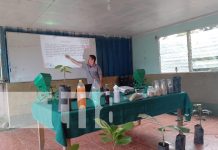 Capacitan a productores en ejecución de nuevas prácticas agrícolas en Jinotega Capacitan a productores en ejecución de nuevas prácticas agrícolas en Jinotega