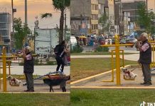 VIDEO: Abuelito llena de nostalgia al llevar a su perro y columpiarlo como niño Abuelito mayor sale a columpiar a su perrito