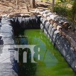 Estanques de crianza de tilapia cambian la vida de protagonista en el Diriá Estanques de crianza de tilapia cambian la vida de protagonista en el Diriá