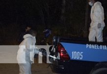 Policía de León investiga muerte de un señor originario de Francia Foto: Policía de León investiga muerte de un señor originario de Francia / TN8