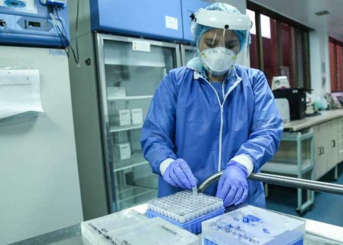 5 OMS mantiene nivel máximo de alerta para el covid-19