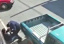 Le salió la cabra: Intenta robarle y la mujer le dio tremenda paliza Mujer enfrentó y sometió a un ladrón que intentó robarla