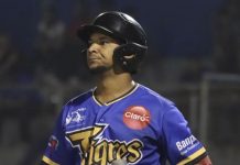 Bateo sobresale en escogencia de refuerzos de la LBPN Escogencia de refuerzos LBPN