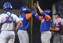 gigantes, boer, liga profesional, beisbol