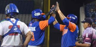 gigantes, boer, liga profesional, beisbol
