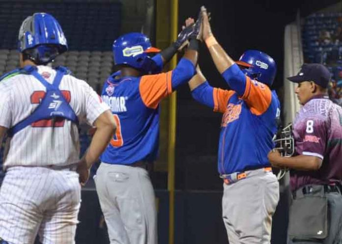 gigantes, boer, liga profesional, beisbol