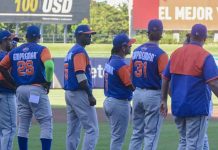 gigantes, rivas, estadio, beisbol