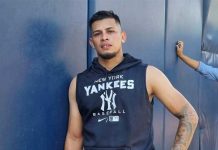 joanthan, loaisiga, yankees
