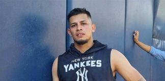joanthan, loaisiga, yankees