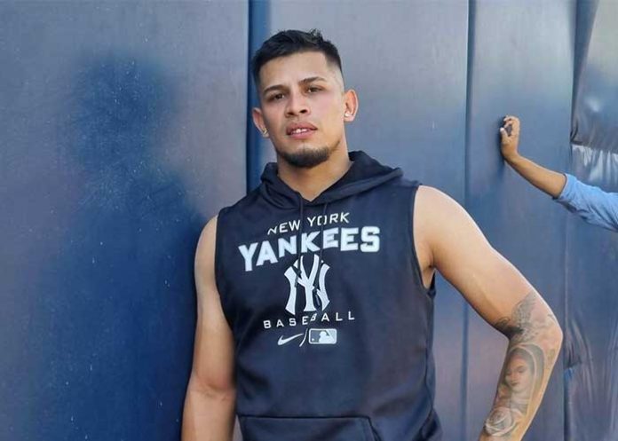 joanthan, loaisiga, yankees