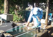 Abate, clave para que no se desarrollen más zancudos en Managua Foto: Abatización en casas de Villa Libertad, Managua / TN8