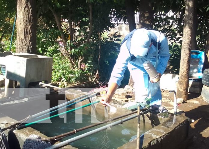Foto: Abatización en casas de Villa Libertad, Managua / TN8