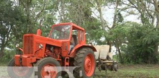 Foto: Todo listo en Nicaragua para Agro Innovación 2023 / TN8