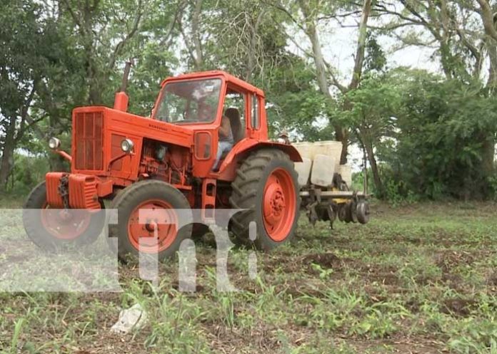 Foto: Todo listo en Nicaragua para Agro Innovación 2023 / TN8