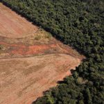 Deforestación de Amazonía brasileña aumentó 150% en diciembre Deforestación de Amazonía brasileña aumentó 150% en diciembre
