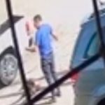 En plena calle mató a puñaladas a un pitbull después que mordió a su hijo En plena calle mató a puñaladas a un pitbull después que mordió a su hijo