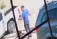 En plena calle mató a puñaladas a un pitbull después que mordió a su hijo En plena calle mató a puñaladas a un pitbull después que mordió a su hijo