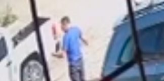 En plena calle mató a puñaladas a un pitbull después que mordió a su hijo