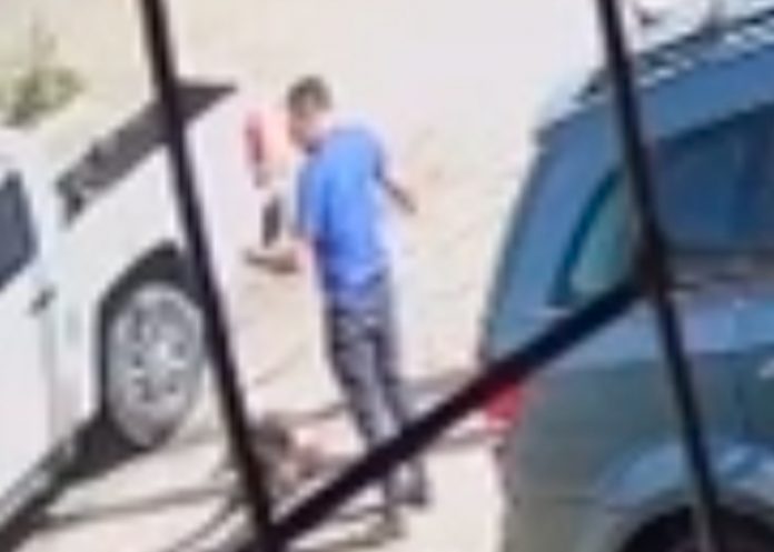 En plena calle mató a puñaladas a un pitbull después que mordió a su hijo