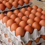 Mató a sangre fría su hermana porque el perro le quebró tres cajillas de huevos