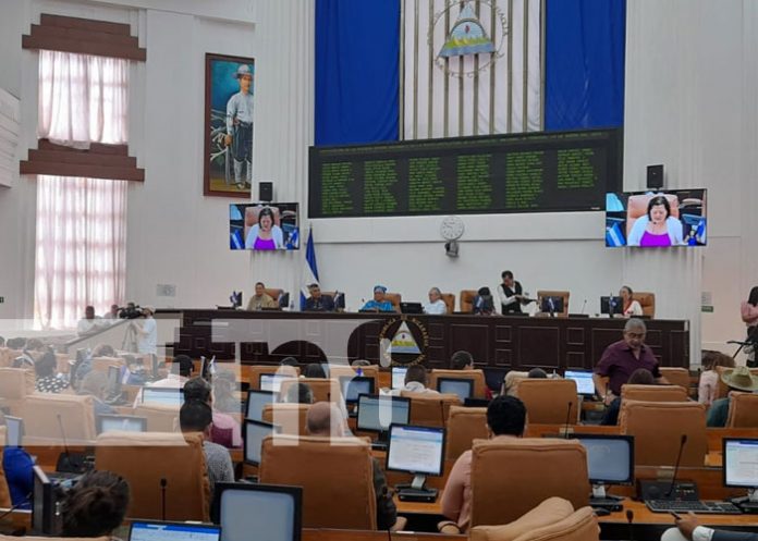 Foto: Sesión parlamentaria en la Asamblea Nacional de Nicaragua / TN8