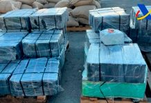 Hallan más de una tonelada de cocaína escondida en sacos de cacao en Barcelona Hallan más de una tonelada de cocaína escondida en sacos de cacao en Barcelona
