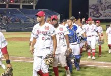 LBPN: Bóer a un triunfo del título tras duelazo de pitcheo boer, gigantes, final, liga profesional,
