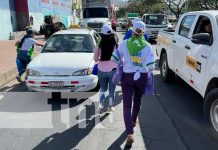 Alcaldía de Managua entrega bolsas reutilizables a conductores Foto: Alcaldía de Managua entrega sacos reciclables para la basura / TN8