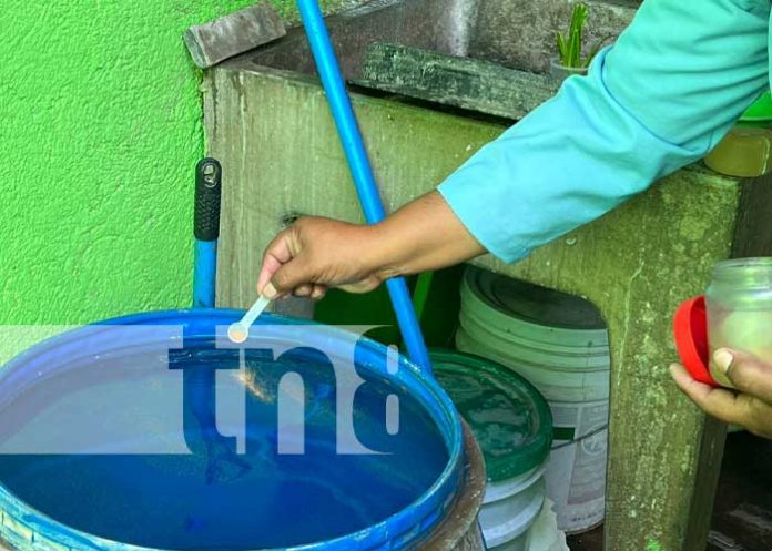 Foto: Erradicación de zancudos en Managua / TN8