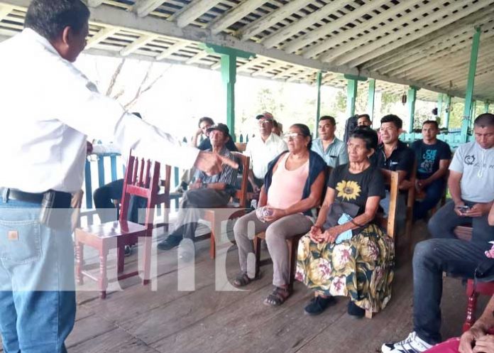 cafe-omet-3 Foto: Caficultura en la Isla de Ometepe / TN8