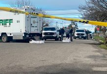 Seis muertos, incluidos una madre y su bebé, dejó un tiroteo en California Seis muertos, incluidos una madre y su bebé, dejó un tiroteo en California