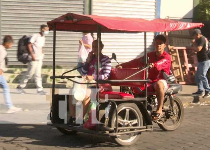 Foto: Regulación para caponeras en Nicaragua / TN8