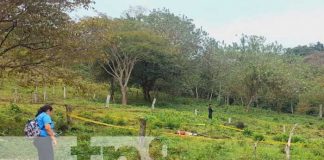 Foto: Atroz crimen en un potrero de Cárdenas, Rivas / TN8