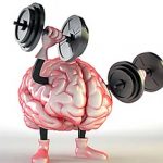 Descubren qué función tiene una misteriosa zona del cerebro